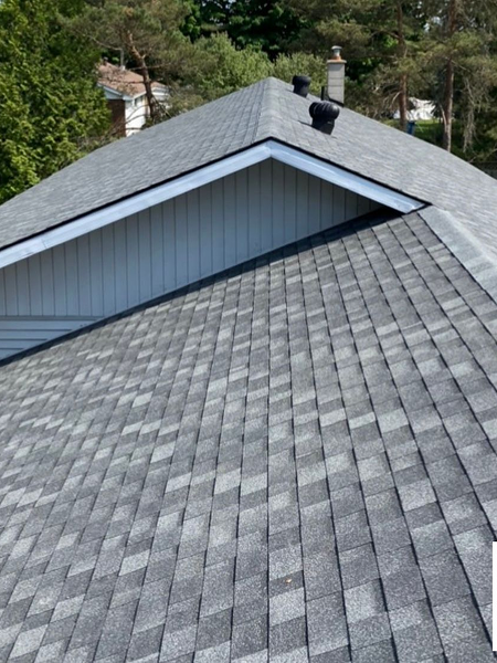 204757c7-394f-4614-a7a8-83704007294a 1