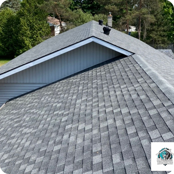 204757c7-394f-4614-a7a8-83704007294a 3