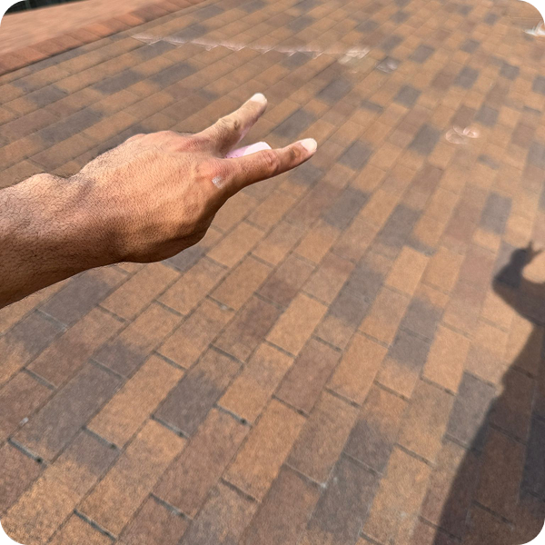 30d65292-cde6-4d94-ae06-da6711328cc0 3 - Copia