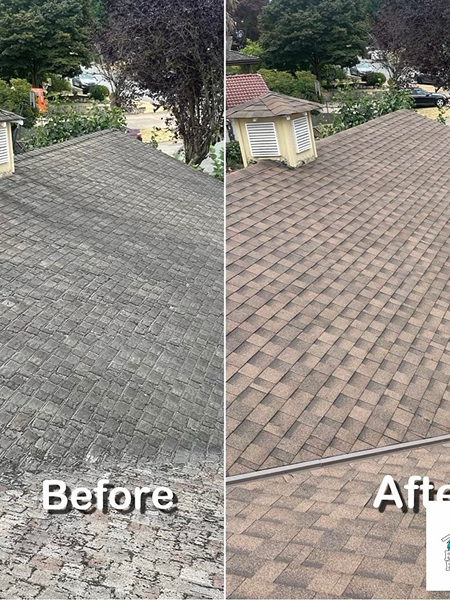 76ae5177-9bf6-4c94-a3e1-5d24a8392dc4 1