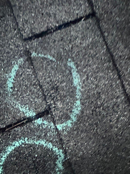 863f9b2f-3a68-49d3-a797-5eee04c3b8a7 1