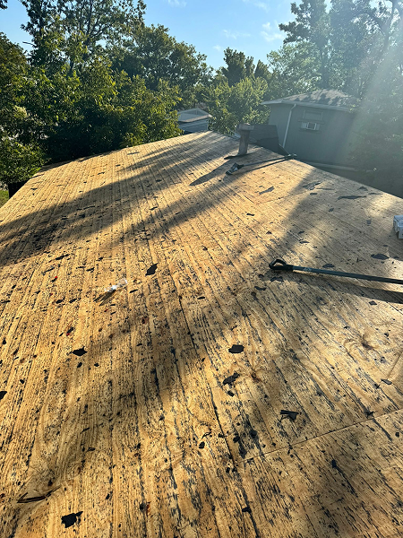 8ff85e1b-44c5-48e1-8e36-36ab6d0595d2 1