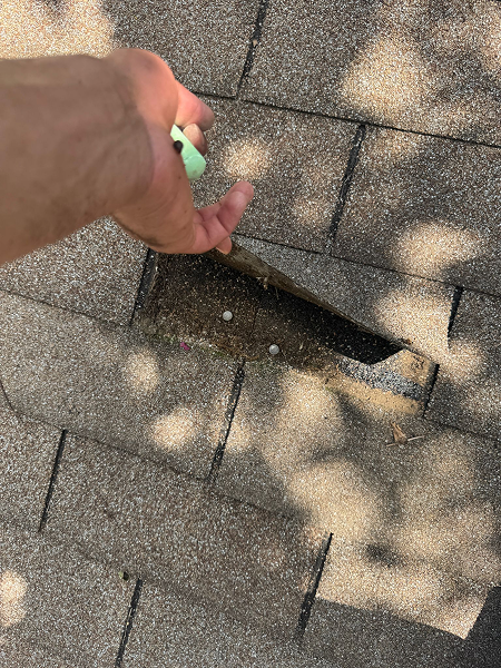 9109a162-54e6-40b6-83dd-633547a4b6e4 1