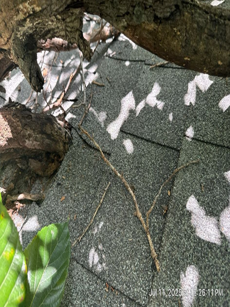 a187ad77-2a7b-4d93-8343-d1180bb94ae9 1